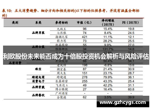 利欧股份未来能否成为十倍股投资机会解析与风险评估