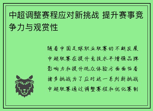 中超调整赛程应对新挑战 提升赛事竞争力与观赏性